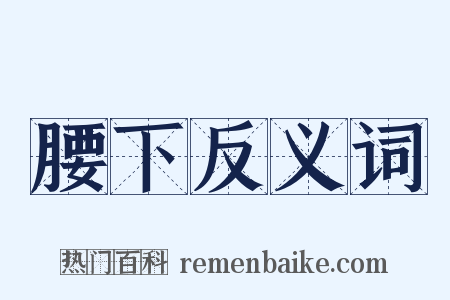 腰下反义词是什么意思的图片